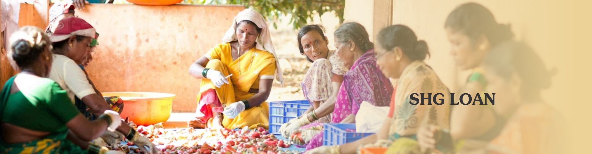 TCC Bank Self Help Groups